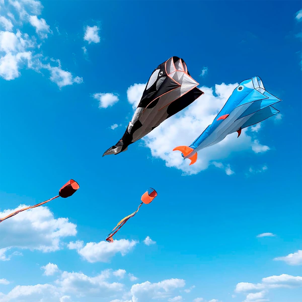 Miniatura 10 de Cometa Ballena 3D Gigante COM-2-3